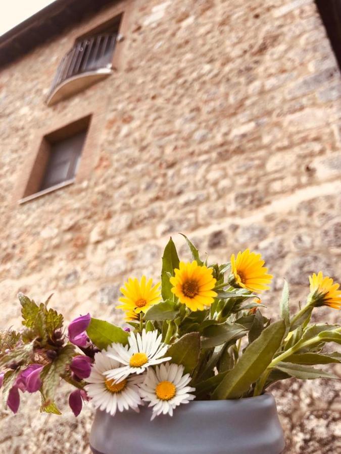 Torre Della Chiocciola Acomodação com café da manhã Monteriggioni Exterior foto
